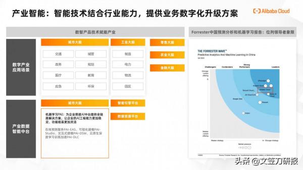 阿里雲出海夥伴體系白皮書