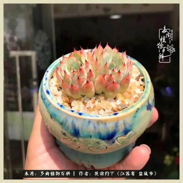 你儘管善良,福報都在路上 你儘管善良,福報都在路上