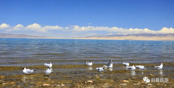 青海系列遊記:中國唯一以湖泊為名的省,青海湖到底有多迷人? 青海系列遊記:中國唯一以湖泊為名的省,青海湖到底有多迷人?