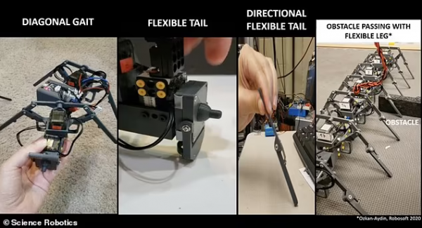 3D印表機器“蟻群”可協同工作，在複雜地形中連成“蜈蚣”