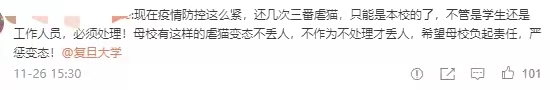 復旦師生餵了8年的流浪貓,在領養前夜被虐殺了 復旦師生餵了8年的流浪貓,在領養前夜被虐殺了