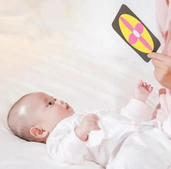 「育兒知識」孩子的敏感期,你知道嗎? 「育兒知識」孩子的敏感期,你知道嗎?