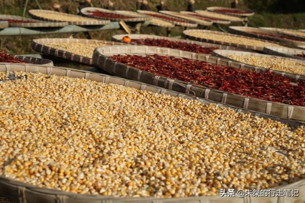 打卡國內幾處絕美的賞秋勝地，品味“人間最美是清秋！”