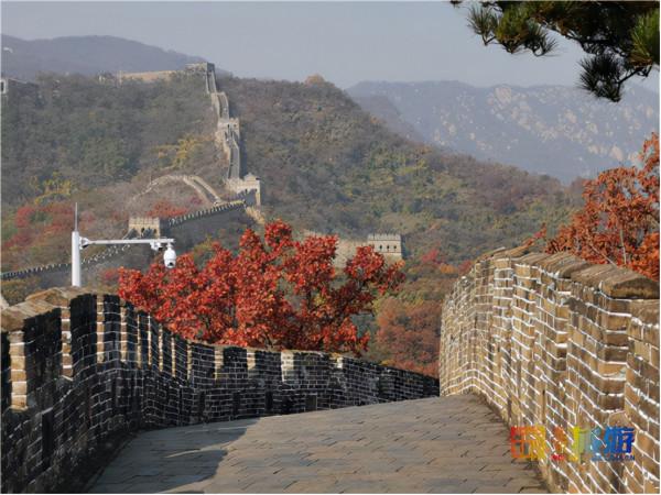 領略深秋慕田峪長城的層林盡染 感受明長城文化的精華 領略深秋慕田峪長城的層林盡染 感受明長城文化的精華