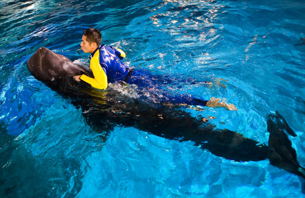 在鯨魚腹中是一種什麼感覺?一個手無寸鐵的人,還有機會逃生嗎? 在鯨魚腹中是一種什麼感覺?一個手無寸鐵的人,還有機會逃生嗎?