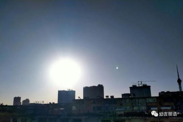 小狗歡歡生病記 小狗歡歡生病記