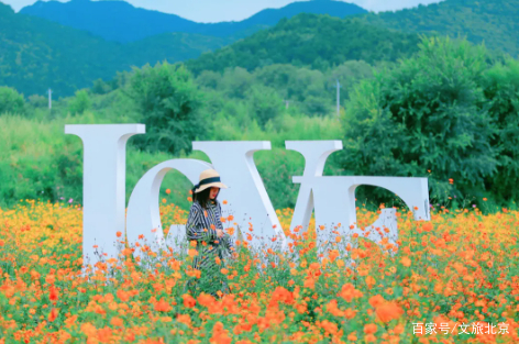 暢遊京郊｜初秋花海、綠野碧波、古城美食……來這裡盡享初秋之美吧