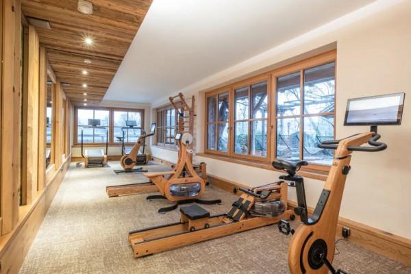 認識水阻划船機梣木(白蠟木)款,來自神話中的“木中女神” 認識水阻划船機梣木(白蠟木)款,來自神話中的“木中女神”