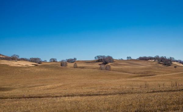 三天三季-我的烏蘭布統之旅-第五篇