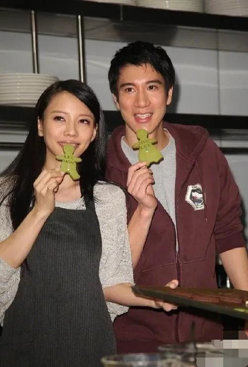 給王力宏和李靚蕾的一封公開信，紅樓夢局中局，請用中文和普通話