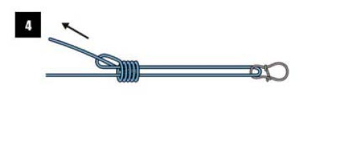 釣魚人必須知道的四種基礎線結綁法