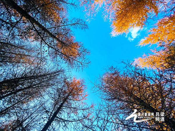 交城龐泉溝：秋日的童話