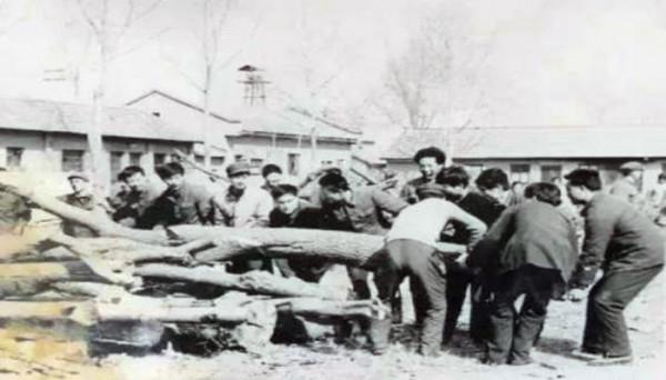 知青回憶錄:夜半驚魂,一雙狼皮手套差點害死四名女知青 知青回憶錄:夜半驚魂,一雙狼皮手套差點害死四名女知青