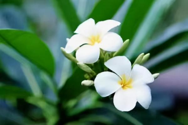 人啊，一旦沒錢了，就會出現這三種情況