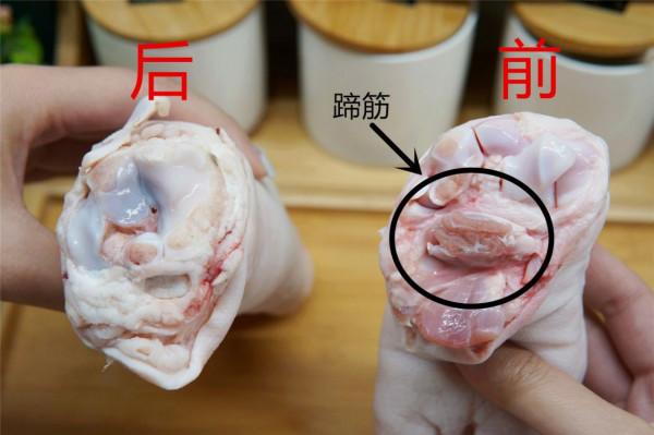 買豬蹄，你能分清&OpenCurlyDoubleQuote;前蹄&rdquo;和&OpenCurlyDoubleQuote;後蹄&rdquo;嗎？4個區別很明顯，別買錯