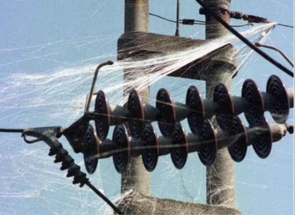 中國電磁炸彈太恐怖，美專家稱一次攻擊能癱瘓美國，有這麼厲害？