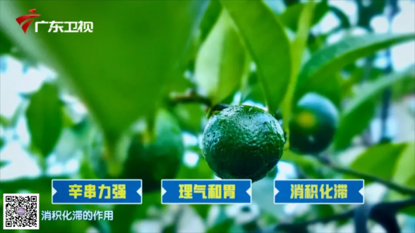 常備2種食材，改善鬱結不通的體質