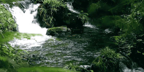 網紅照騙有風險？來羅浮山溫泉旅遊度假區，一秒真實出片！