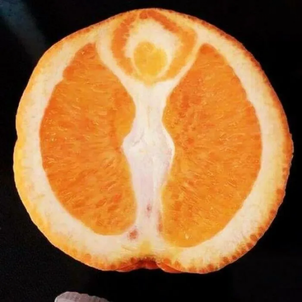 28張圖片帶你看看你不瞭解的世界，看完整個人都舒服了