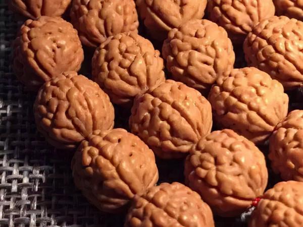 金剛菩提，老手和新手的區別到底在哪？