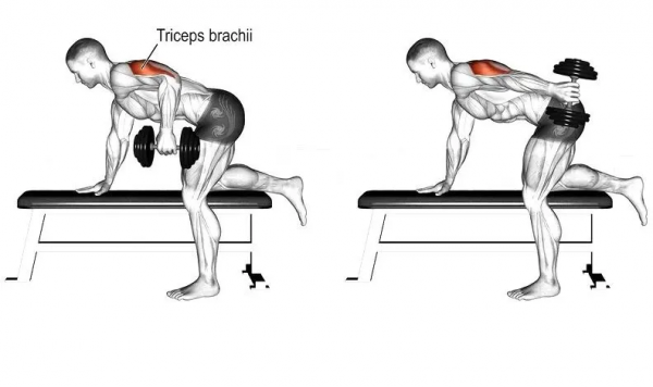 「耀&bull;健身」練遍全身，你只差一對啞鈴