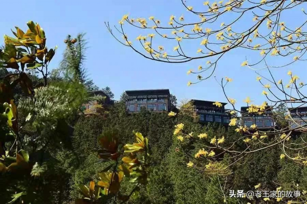 整村開發，不能忽視，今天用3個成功和1個失敗的案例告訴你真相