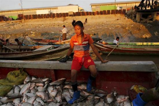 緬甸北部地區是如何成為販毒、詐騙、賭博等犯罪活動充斥之地的 緬甸北部地區是如何成為販毒、詐騙、賭博等犯罪活動充斥之地的