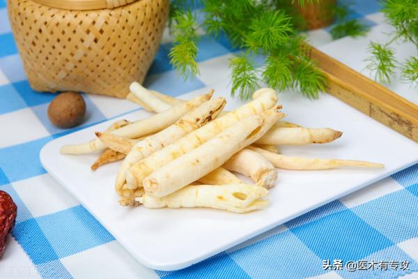 每日一味中藥「知母」 每日一味中藥「知母」