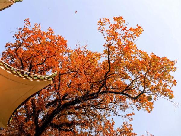 財商:賺錢不需要有才華,想賺錢總是先“模仿”後“創新” 財商:賺錢不需要有才華,想賺錢總是先“模仿”後“創新”