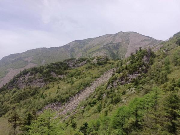 秦嶺深處的高山草甸，朱雀森林公園
