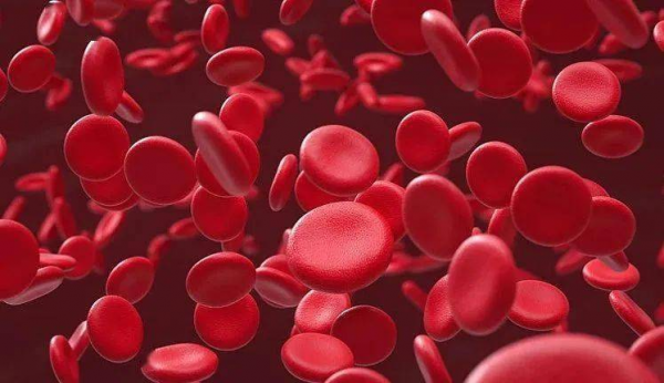 血常規的結果應該怎麼看？主要看3個指標，手把手教你看懂血常規