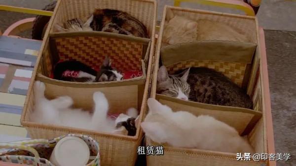 十部治癒系高分電影