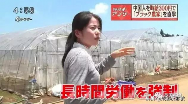 別人的命不值錢？日本公司竟騙外國勞工清理核汙染垃圾