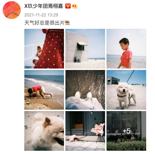 焉栩嘉又雙叒談戀愛了？新女友疑似是張子楓，網友直呼妹妹快跑