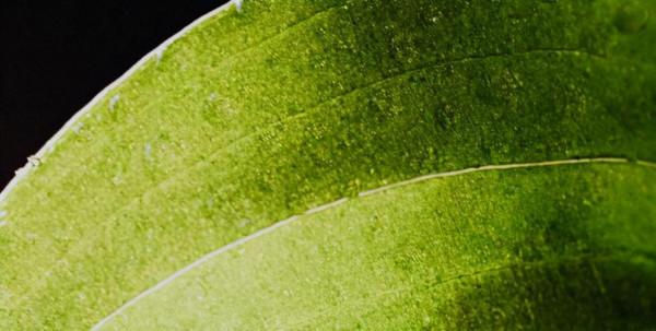 你的孩子是乖還是討好呢? 你的孩子是乖還是討好呢?