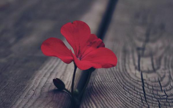 年末，最應該感謝的四個人