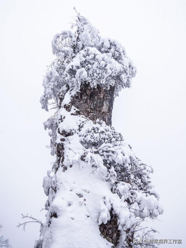 讓我的鏡頭帶你玩轉漢中龍頭山