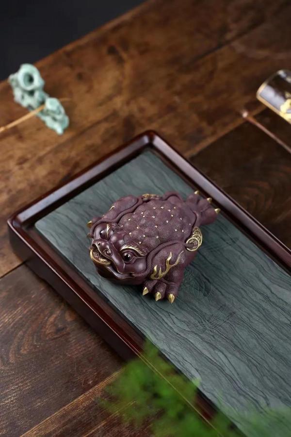 招財金蟾，見過嗎？