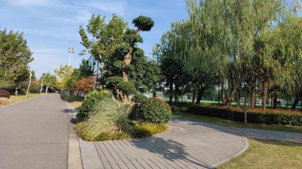 小米的魔法消除功能