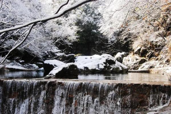 這裡的霧凇，驚豔了西河的冬日時光