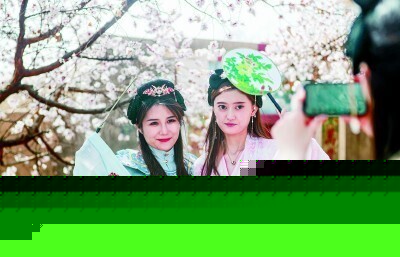 賞花經濟，如何玩出新“花”樣