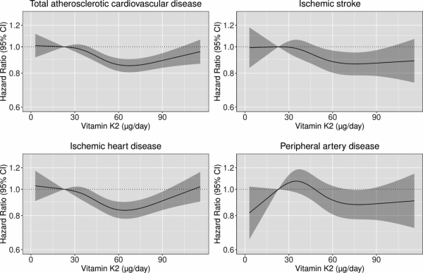 越來越多的證據表明維生素K可以降低患心血管疾病風險