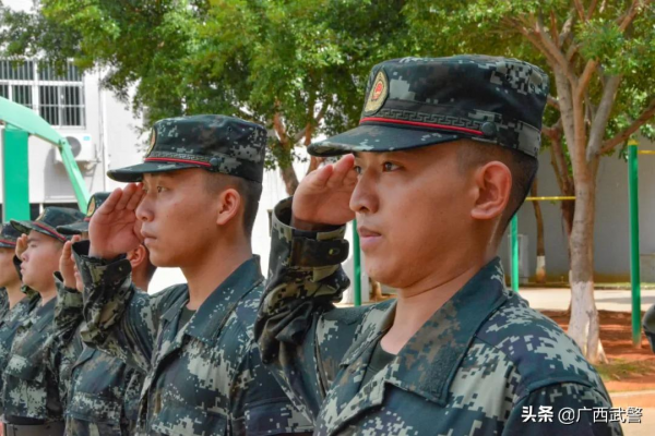 剛來的這批新兵,了不得啊! 剛來的這批新兵,了不得啊!