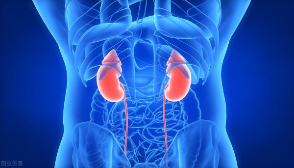腎臟有10怕,你知道幾個? 腎臟有10怕,你知道幾個?