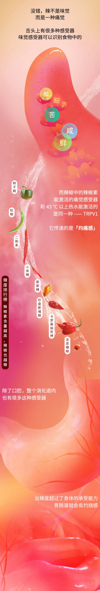 經常吃辣,到底對身體有多大危害? 經常吃辣,到底對身體有多大危害?