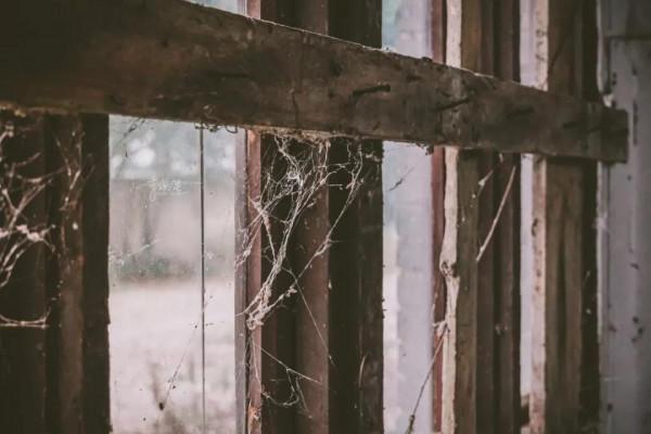 滄桑故事 回望茶城