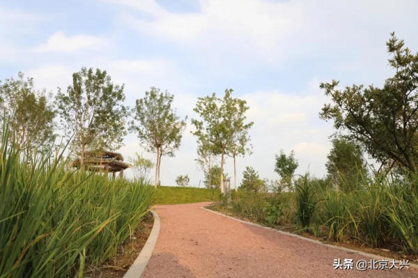 大興有處藏在城市中的“秘密花園”，超美！