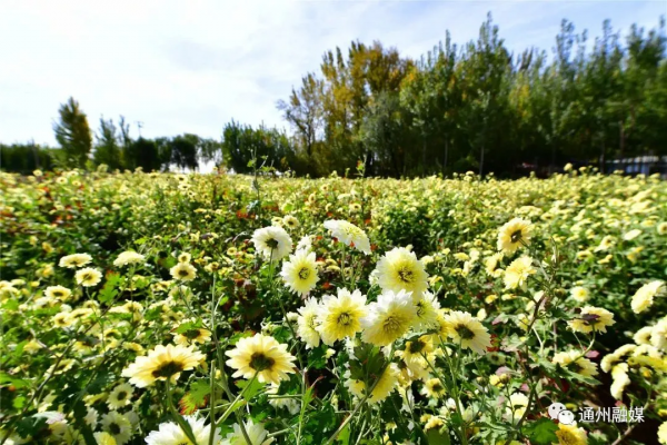 喜訊!北京釋出2021美麗休閒鄉村名錄!我鎮軍屯村入選 喜訊!北京釋出2021美麗休閒鄉村名錄!我鎮軍屯村入選
