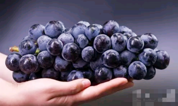 想孩子出生後眼睛好看，是個大眼萌娃，孕期建議媽媽多吃兩種水果