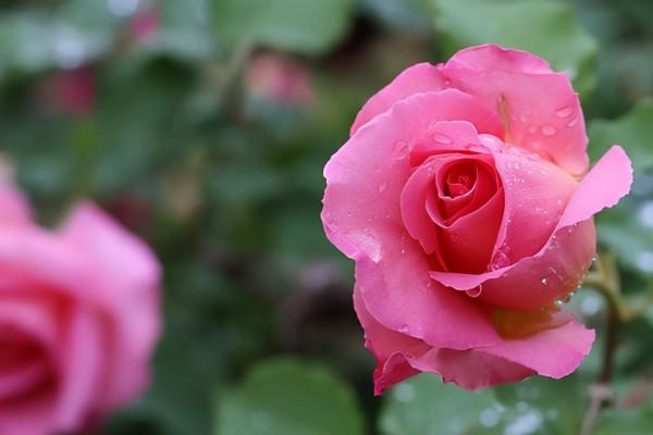 懂得這樣為人處世的人，才是能辦大事的，日後會更容易成功